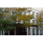 Отзывы людей о Дошкольное отделение, Школа № 1352 в Москве