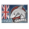 Тренинговая школа «Anglosharks»