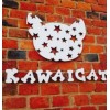 Курсы парикмахеров KAWAICAT