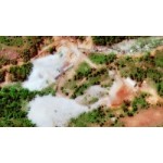 Отзывы людей о В КНДР демонтировали единственный ядерный полигон