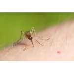 Отзывы людей о Вирус Зика