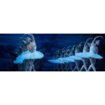 Отзывы людей о Шоу "лебединое озеро "с Плющенко