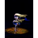 Отзывы людей о Cirque du Soleil