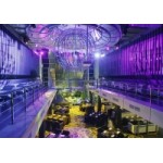 Отзывы людей о Сити Клаб Интернешнл