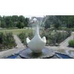 Отзывы людей о Детский лагерь «Лебедь»