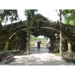 Отзывы людей о Сафари парк в Краснодаре