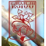 Отзывы людей о Детский лагерь Карельская березка