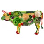 Отзывы людей о Вегетариантво