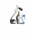 Отзывы людей о Защита от клещей для собак