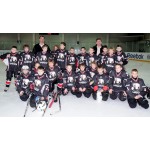 Отзывы людей о ArenaHD