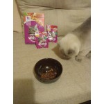 Отзывы людей о Корм для кошек Вискас