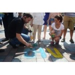 Отзывы людей о Закон о люстрации в Украине