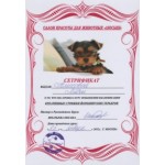 Отзывы людей о Зоосалон Филимон