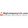 BigCompanyJob.com