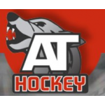 Отзывы людей о AT Hockey