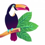 Отзывы людей о Фитнес-клуб Амазония