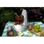 Отзывы людей о Шнековая соковыжималка Dream Juicer manual