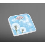 Отзывы людей о Весы ЛАДОМИР НА202