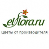 Магазин цветов El flora