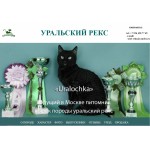 Отзывы людей о Уральский рекс - гипоаллергенные кошки