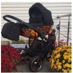 Отзывы людей о Детская коляска Junama Diamond Mirror 2 в 1