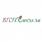 Отзывы людей о Доставка цветов btcflowers.ru