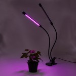 Отзывы людей о Фито лампа Super Growth / СуперРостSuper