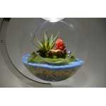 Отзывы людей о Apeyron fito