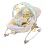 Отзывы людей о Детское кресло-шезлонг "Уточка" Bright Starts