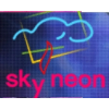 Компания Skyneon