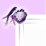 Отзывы людей о Ласточка кадровое агентство