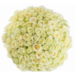 Отзывы людей о Интернет-магазин цветов Астра Пак