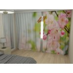 Отзывы людей о Фотошторы "Колибри"