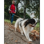 Отзывы людей о Гульдог: выгул, передержка, няня для собак