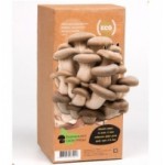 Отзывы людей о Домашняя грибница "Вешенки"