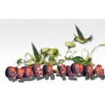 ОБМАН Служба доставки цветов Cyber-flora