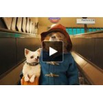 Отзывы людей о Приключения Паддингтона (2015)