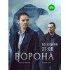 Сериал Ворона (2018)