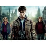 Отзывы людей о Гарри Поттер и Дары смерти: Часть II