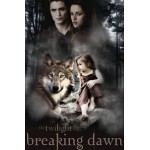 Отзывы людей о Сумерки. Сага. Рассвет: Часть 2