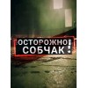 Шоу: Осторожно, Собчак!