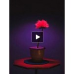 Отзывы людей о Малыш Джо (2019)