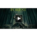 Отзывы людей о Фильм "Лес призраков" 2016