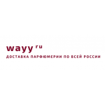 Отзывы людей о wayy.ru